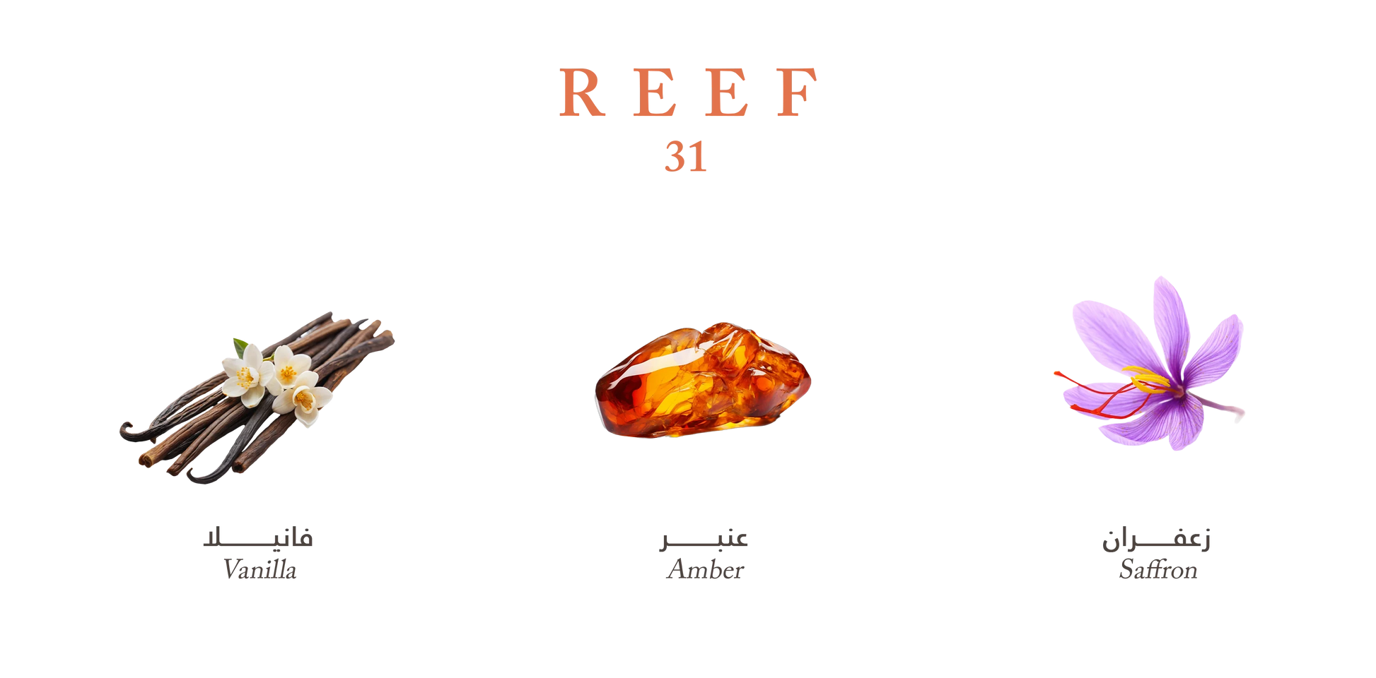 Eau de parfum Reef 31 - Reef