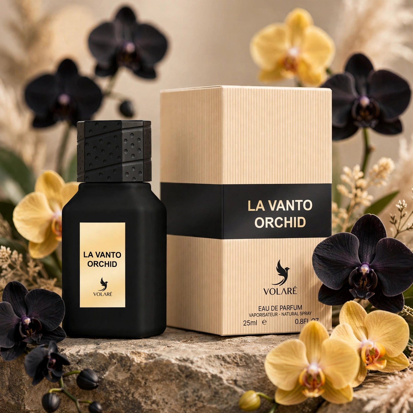 Volare - La Vanto Orchid